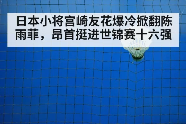 badminton net shot