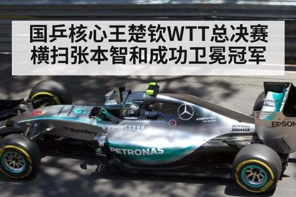 国乒核心王楚钦WTT总决赛横扫张本智和成功卫冕冠军